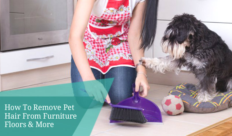 How To Remove Pet Hair From Furniture Floors More Bond