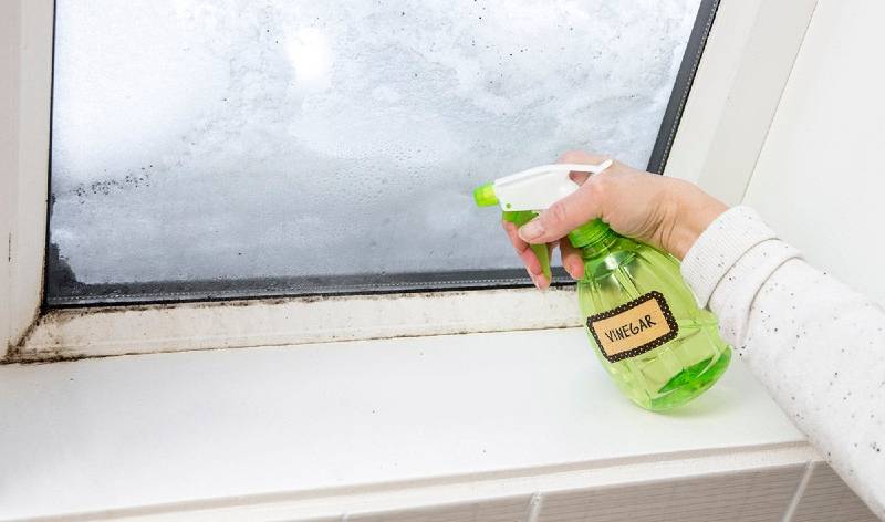 Hand of a woman holding green spray bottle in her hand spraying on window
