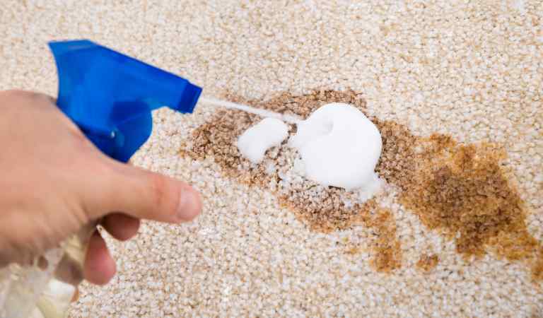 Close-up Of Person's Hand Spraying Cleaning Agent On Carpet
