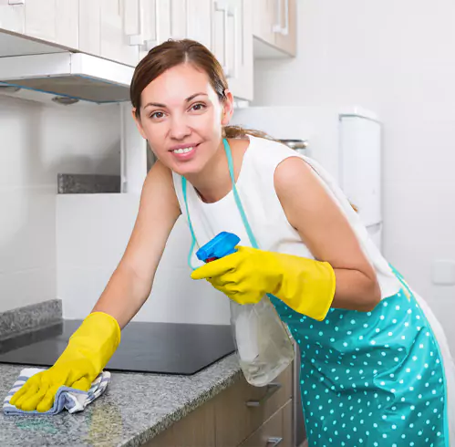Oven and BBQ Cleaning FAQ
