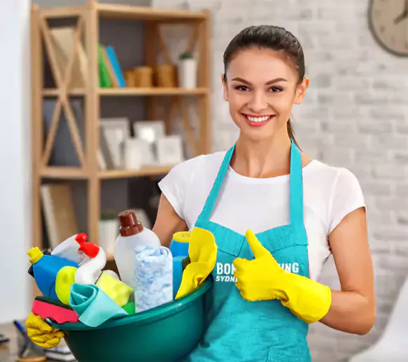 Hire Professional Oven Cleaners