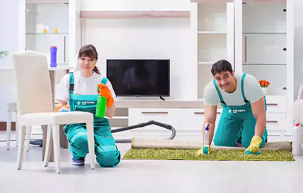 Proficient Carpet Cleaning