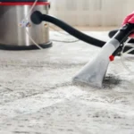 Human steam cleaning carpet in the living room using vacuum cleaner at home
