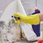 Handling Mould During Sydney End of Lease Cleaning