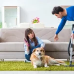 Husband cleaning house from dog fur