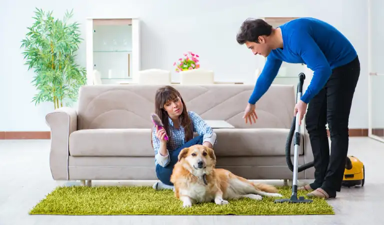 Husband cleaning house from dog fur
