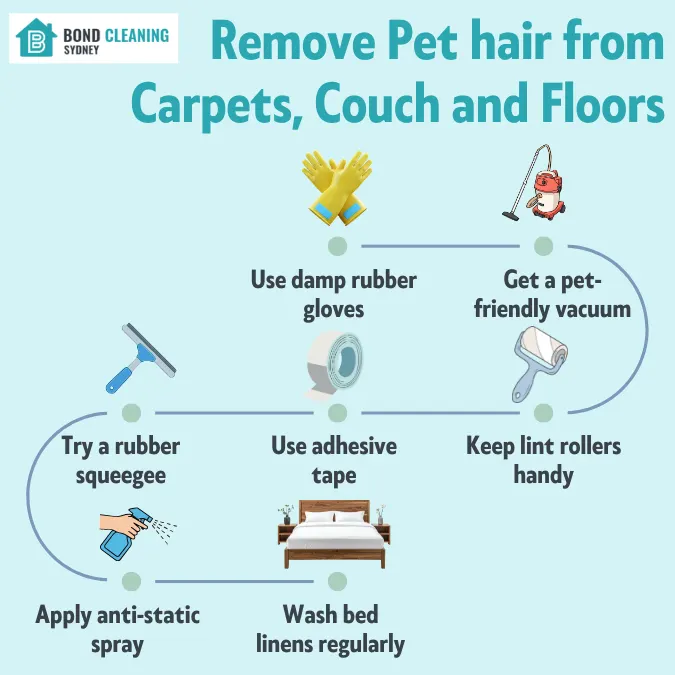 Remove Pet hair from Carpets, Couch and Floors