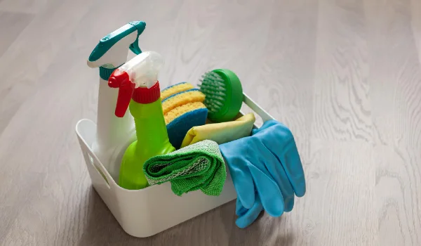 Cleaning products household chemicals spray brush sponge glove